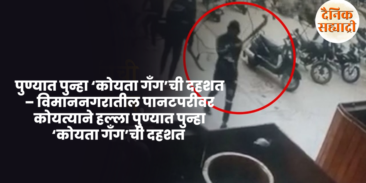 पुण्यात पुन्हा ‘कोयता गँग’ची दहशत – विमाननगरातील पानटपरीवर कोयत्याने हल्ला