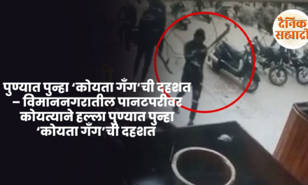 पुण्यात पुन्हा ‘कोयता गँग’ची दहशत – विमाननगरातील पानटपरीवर कोयत्याने हल्ला