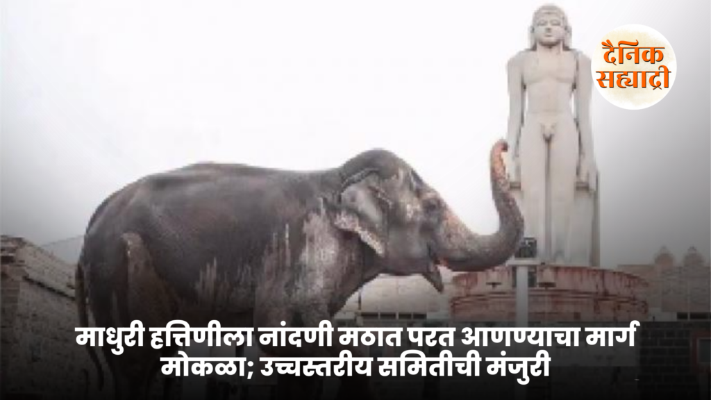 Madhuri Elephant issue