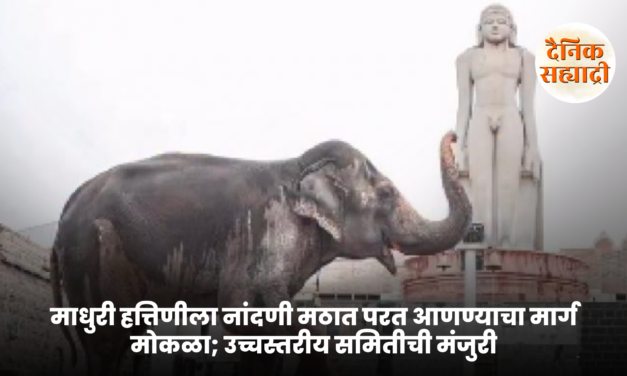 माधुरी हत्तिणीला नांदणी मठात परत आणण्याचा मार्ग मोकळा; उच्चस्तरीय समितीची मंजुरी