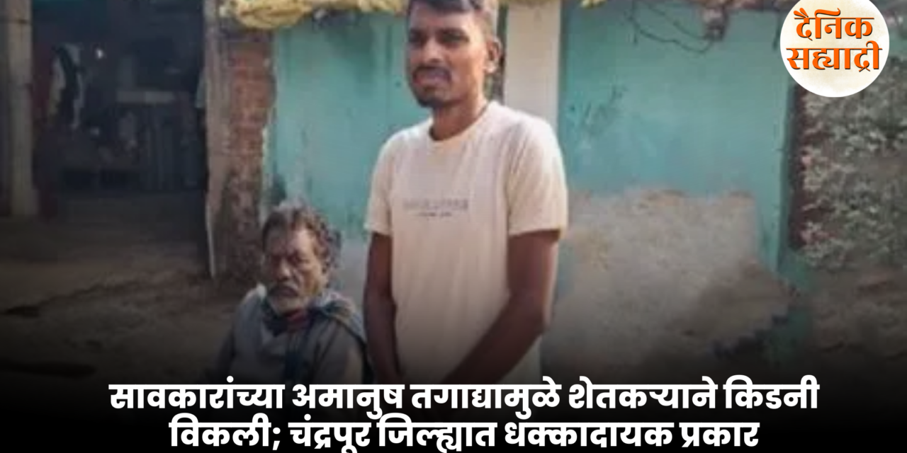 सावकारांच्या अमानुष तगाद्यामुळे शेतकऱ्याने किडनी विकली; चंद्रपूर जिल्ह्यात धक्कादायक प्रकार