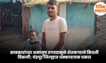 सावकारांच्या अमानुष तगाद्यामुळे शेतकऱ्याने किडनी विकली; चंद्रपूर जिल्ह्यात धक्कादायक प्रकार